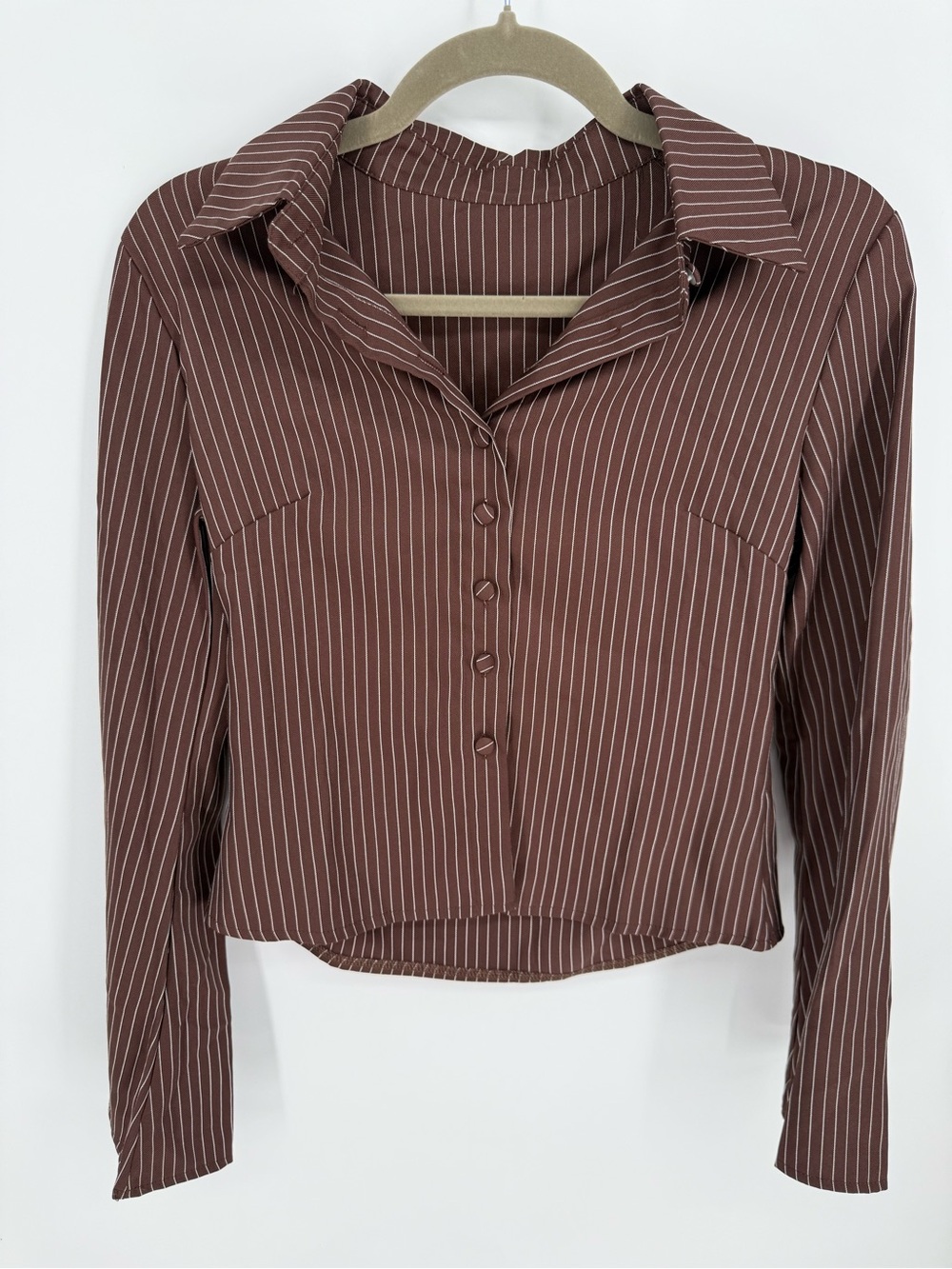 Brown Pinstripe Cropped Button Up Blouse S